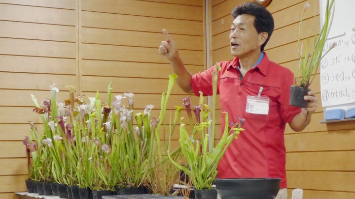 終了しました 食虫植物を植えよう 吹田市 花とみどりの情報センター