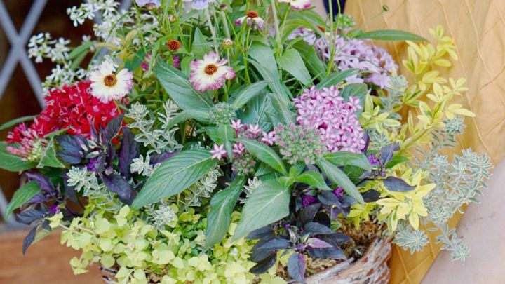 開催を中止します プランツ ギャザリング講習会 初夏の花束植えギャザリング 吹田市 花とみどりの情報センター