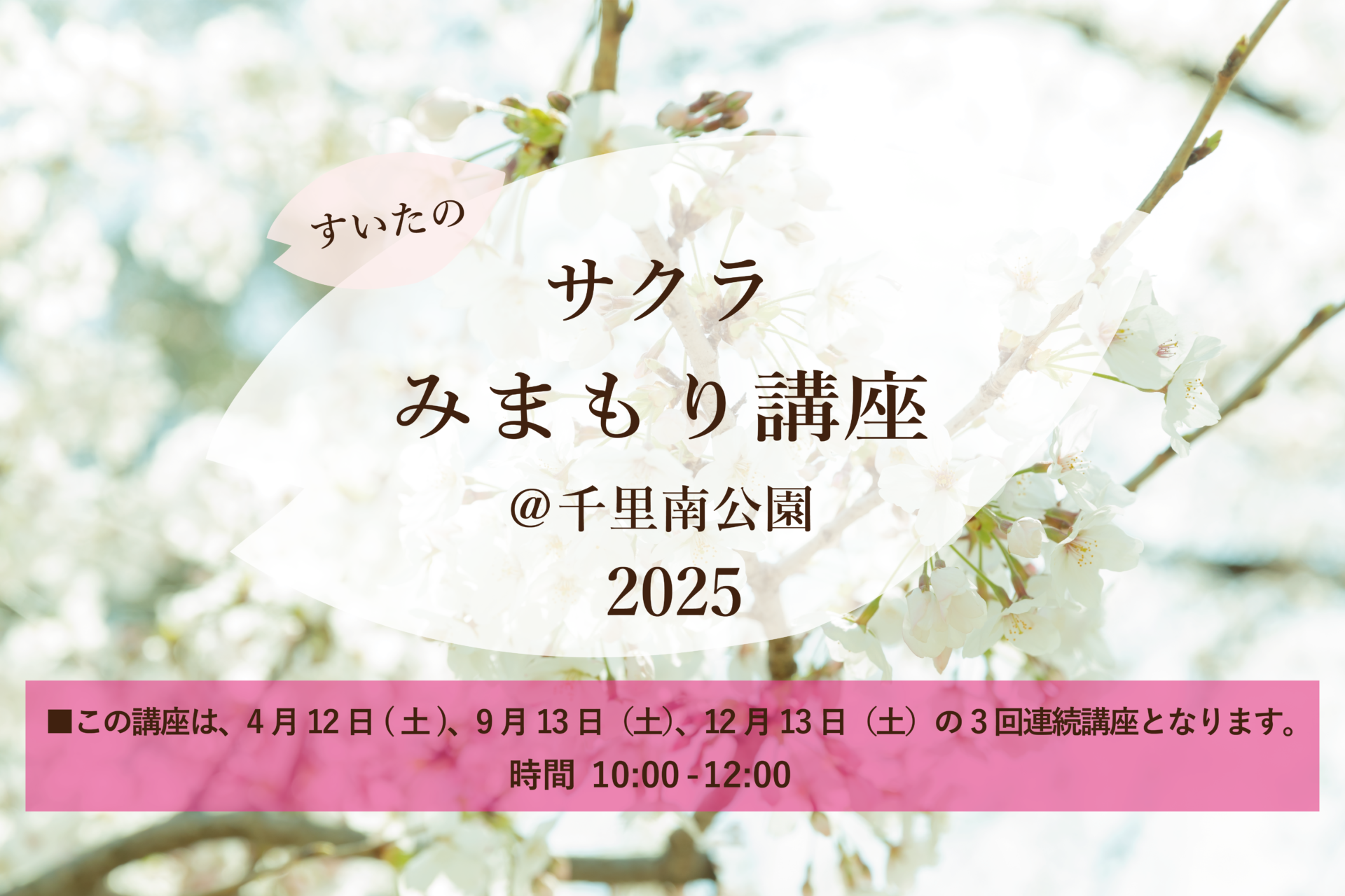 ＜3/4予約開始＞すいたの「サクラみまもり講座」