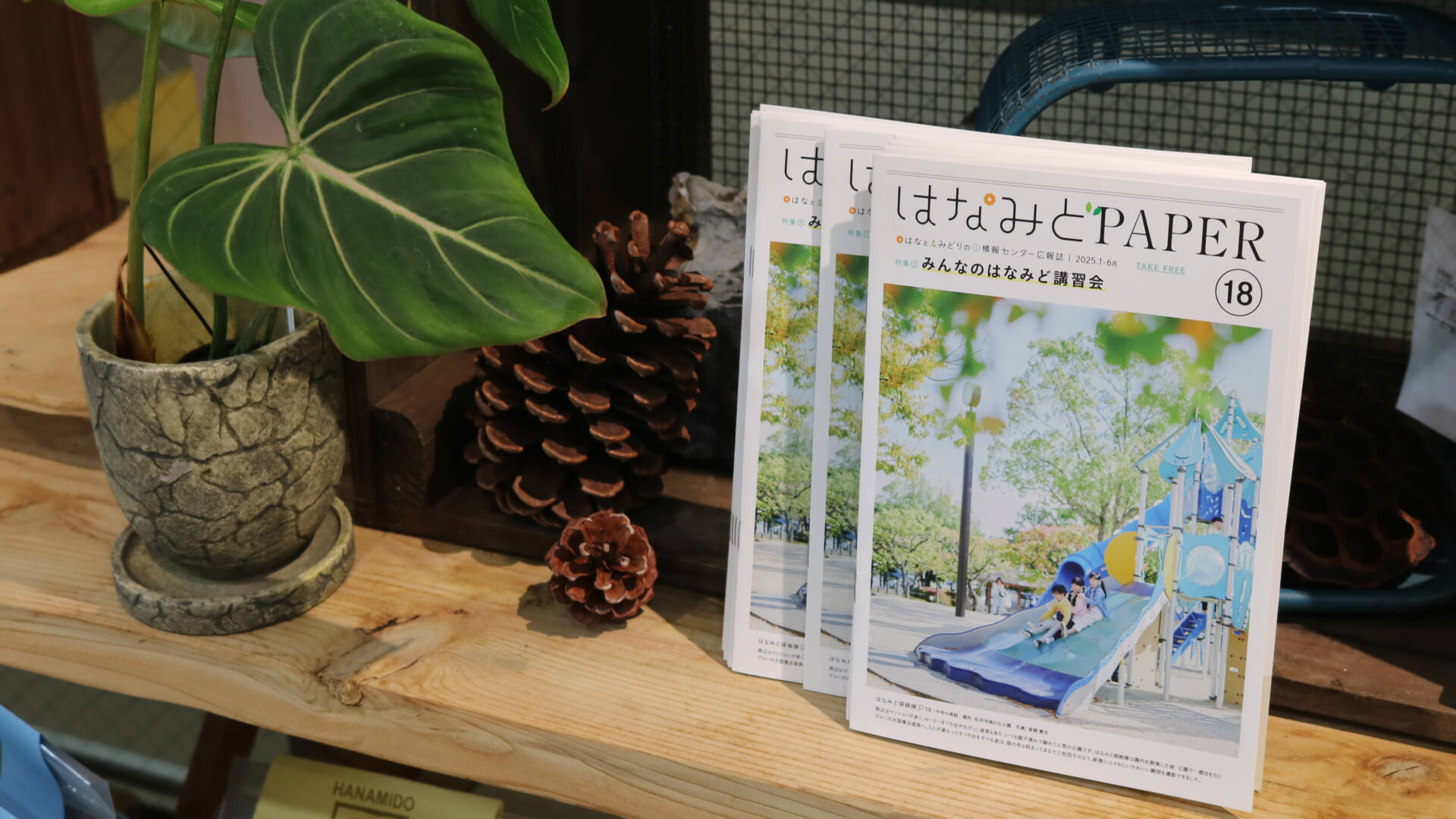 広報誌「はなみどPAPER vol.18」発行