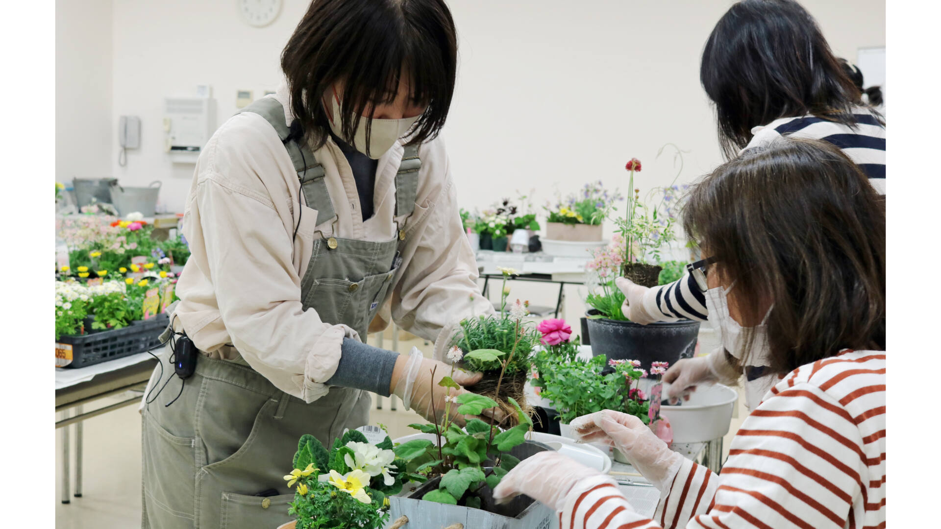 ＜3/1予約開始＞お花を選んで寄せ植えづくり